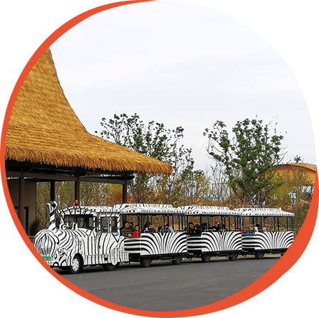 Trackless Train