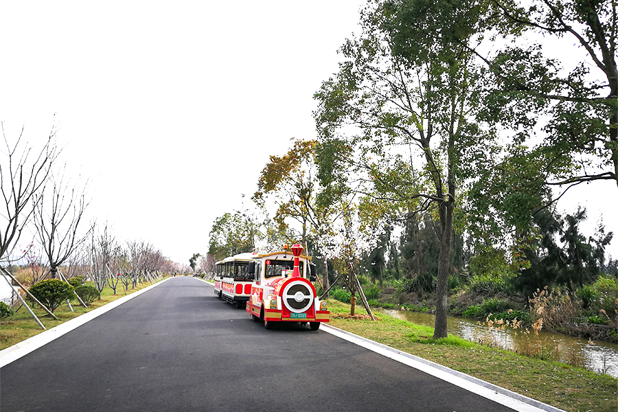 Semi-enclosed carriage 28 elegant large trackless sightseeing train