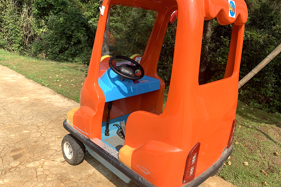  Two-Seater cartoon electric sightseeing car 
