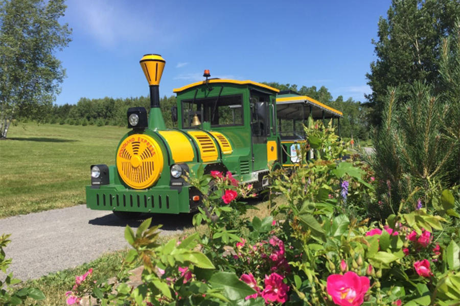 28-seat open carriage classic large trackless sightseeing train