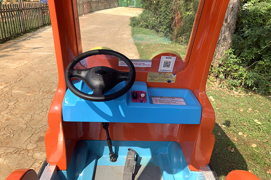  Two-Seater cartoon electric sightseeing car 
