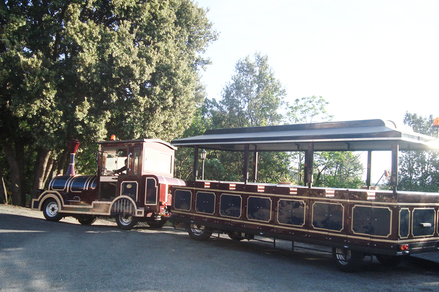 28-seat semi-enclosed carriage classic large trackless sightseeing train