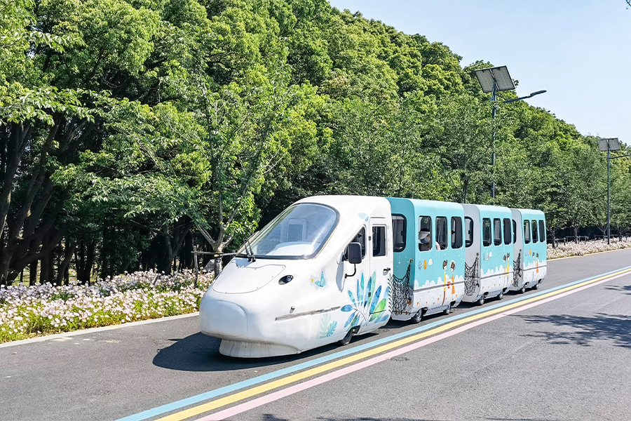 EMU park cruise series trains