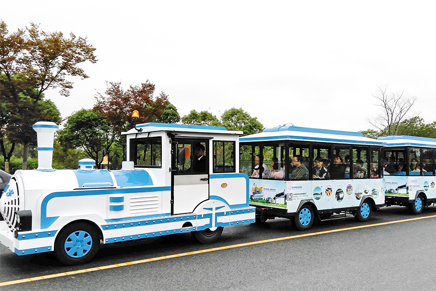 20-seat elegant large-scale trackless sightseeing trains in enclosed carriages
