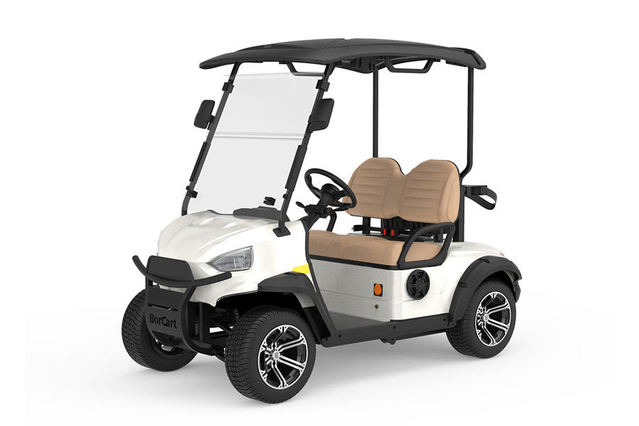 Electric Golf Cart C2